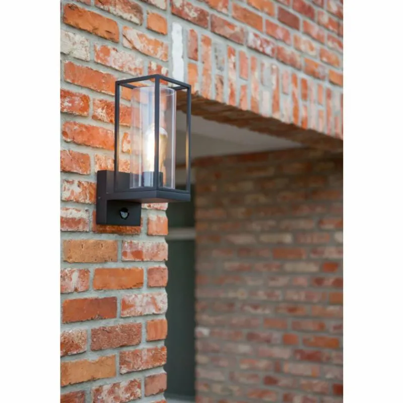 Luminaires Lutec Applique murale d'extérieur Lutec Flair Noir, 1 lumière, Détecteur de mouvement