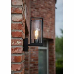 Luminaires Lutec Applique murale d'extérieur Lutec Flair Noir, 1 lumière, Détecteur de mouvement