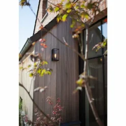 Luminaires Lutec Applique murale d'extérieur Lutec Flair Anthracite, 1 lumière