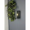Luminaires Lutec Applique murale d'extérieur Lutec Mirage Anthracite, 1 lumière