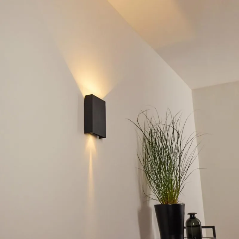 hofstein Applique murale d'extérieur Benin LED Noir, 2 lumières