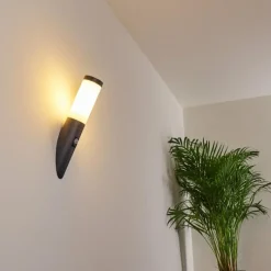 hofstein Applique murale d'extérieur Gaborone Anthracite, 1 lumière, Détecteur de mouvement