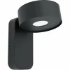 Luminaires Eglo Applique murale d'extérieur Eglo PALOSCO LED Noir, 1 lumière