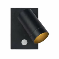 Luminaires Lucide Applique murale d'extérieur Lucide TAYLOR Noir, 1 lumière, Détecteur de mouvement