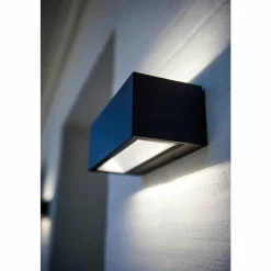Luminaires Lutec Applique murale d'extérieur Lutec GEMINI LED Noir, 2 lumières