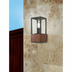 Lampes En Bois-Luminaires Trio Applique murale d'extérieur Trio Garonne Bois foncé, Nickel mat, 1 lumière