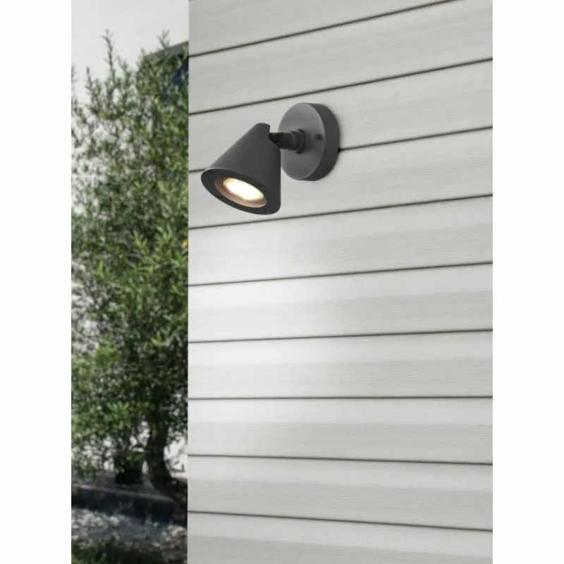 Luminaires Trio Applique murale d'extérieur Trio Kaveri Anthracite, 1 lumière