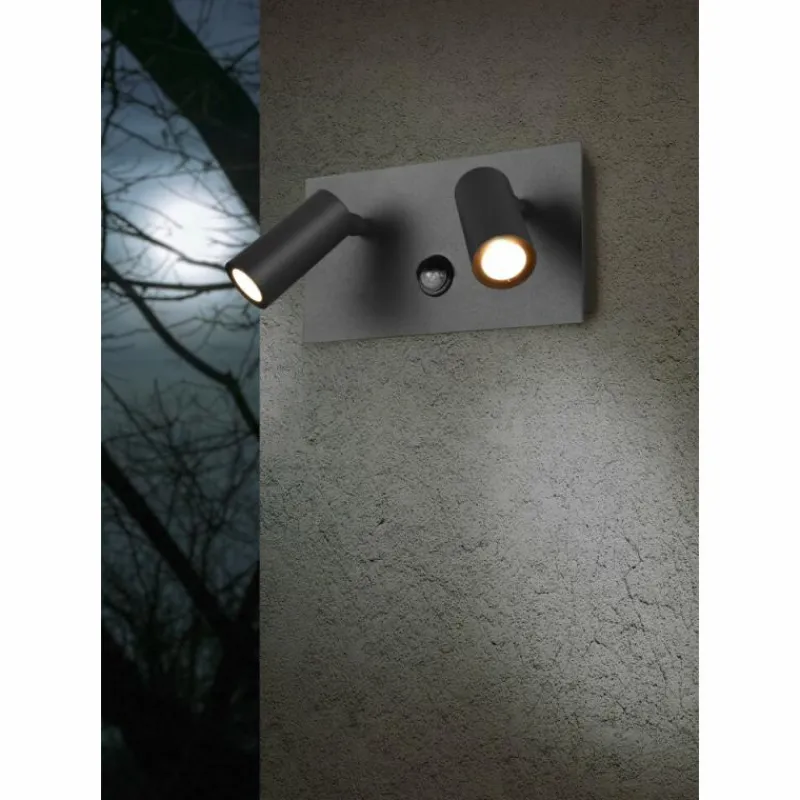 Luminaires Trio Applique murale d'extérieur Trio Tunga LED Anthracite, 2 lumières, Détecteur de mouvement