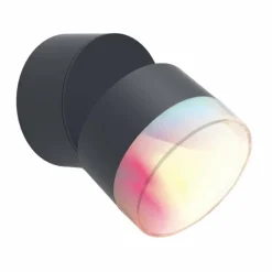 Luminaires Lutec Applique murale d'extérieur Lutec DROPSI LED Anthracite, 1 lumière, Changeur de couleurs