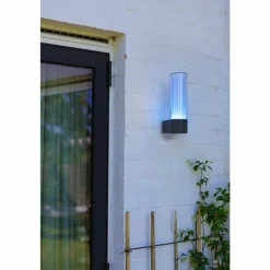 Luminaires Lutec Applique murale d'extérieur Lutec DROPA LED Anthracite, 1 lumière, Changeur de couleurs