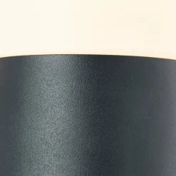 Luminaires Brilliant Applique murale d'extérieur Brillliant Aberdeen Noir, 1 lumière, Détecteur de mouvement