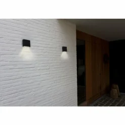 Luminaires Lutec Applique murale d'extérieur Lutec Gemini XF LED Noir, 1 lumière
