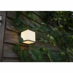 Luminaires Lutec Applique murale d'extérieur Lutec Doblo LED Anthracite, 1 lumière