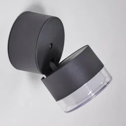 hofstein Applique murale d'extérieur Papagayos LED Anthracite, 1 lumière, Changeur de couleurs