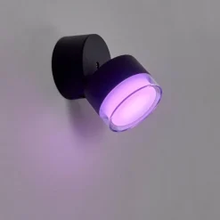 hofstein Applique murale d'extérieur Papagayos LED Anthracite, 1 lumière, Changeur de couleurs