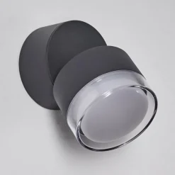 hofstein Applique murale d'extérieur Papagayos LED Anthracite, 1 lumière, Changeur de couleurs