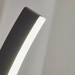 hofstein Applique murale d'extérieur Maseru LED Anthracite, 1 lumière