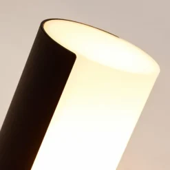 hofstein Applique murale d'extérieur Baulund LED Noir, 1 lumière