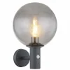 Suspension Verre Fumé-Luminaires Globo Lighting Applique murale d'extérieur Globo HEDWIG Anthracite, 1 lumière, Détecteur de mouvement