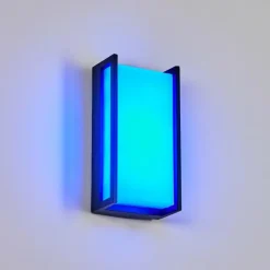 hofstein Applique murale d'extérieur Skove LED Anthracite, 1 lumière, Changeur de couleurs