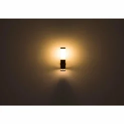 Lampes En Bois-Luminaires Globo Lighting Applique murale d'extérieur Globo JAICY Couleur bois, 1 lumière