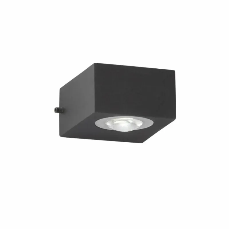 Luminaires Fischer & Honsel Applique murale d'extérieur Fischer-Honsel Helsinki LED Noir, 2 lumières