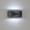 Luminaires Fischer & Honsel Applique murale d'extérieur Fischer-Honsel Rio LED Noir, 1 lumière