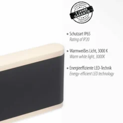 Luminaires Paul Neuhaus Applique murale d'extérieur Paul-Neuhaus ELSA LED Anthracite, 2 lumières