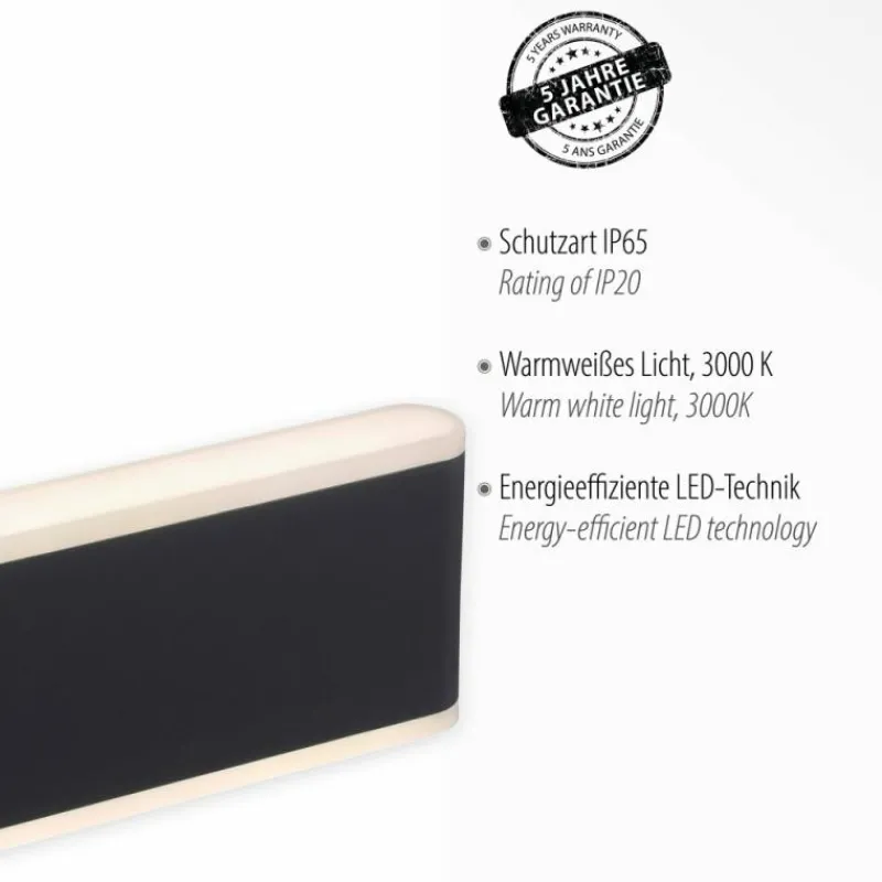 Luminaires Paul Neuhaus Applique murale d'extérieur Paul-Neuhaus ELSA LED Anthracite, 2 lumières