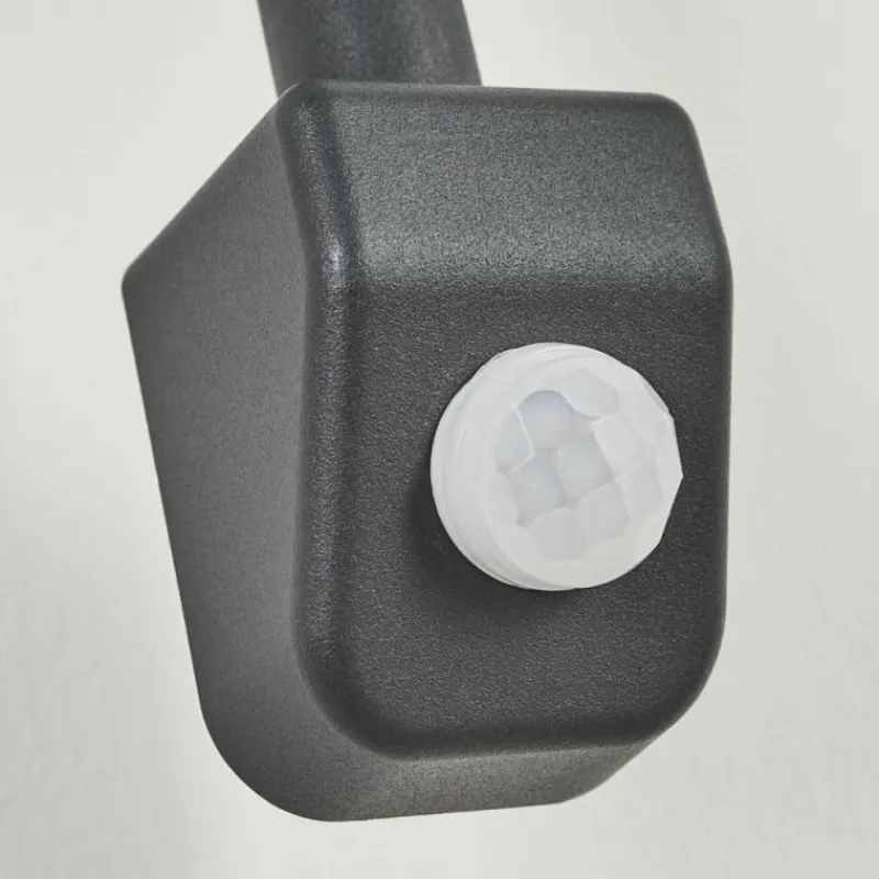 Luminaires Rustiques-hofstein Applique murale d'extérieur Pohei Anthracite, 1 lumière, Détecteur de mouvement