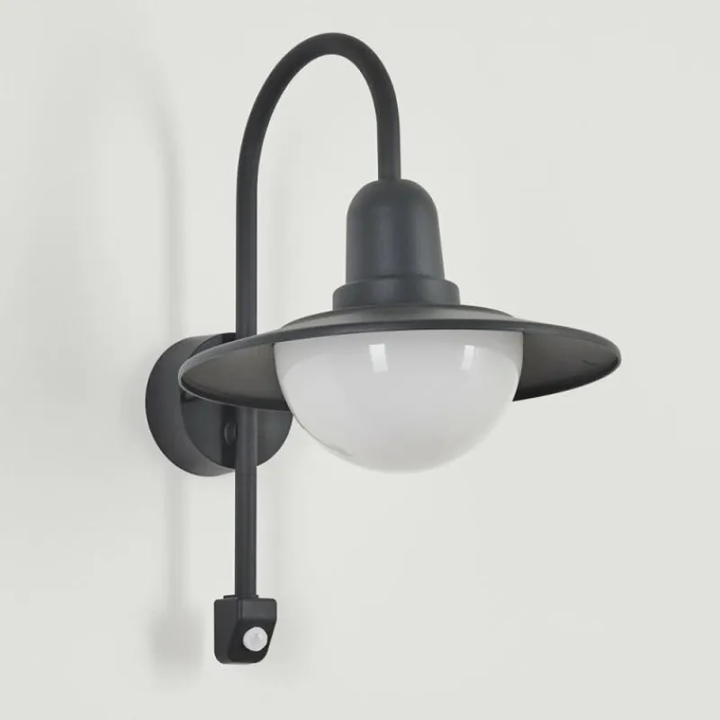 Luminaires Rustiques-hofstein Applique murale d'extérieur Pohei Anthracite, 1 lumière, Détecteur de mouvement