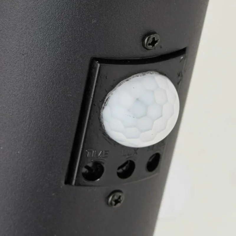 Luminaires Brilliant Applique murale d'extérieur Brilliant-Leuchten Dody Noir, 1 lumière, Détecteur de mouvement