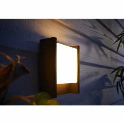 Luminaires Philips Applique murale d'extérieur Philips Hue White Fuzo LED Noir, 1 lumière