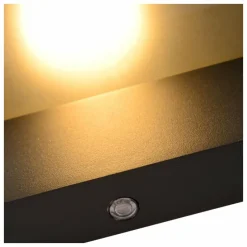 Luminaires Lucide Applique murale d'extérieur Lucide LIAM Anthracite, 1 lumière