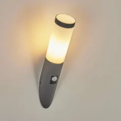 hofstein Applique murale d'extérieur Sessa Anthracite, 1 lumière, Détecteur de mouvement