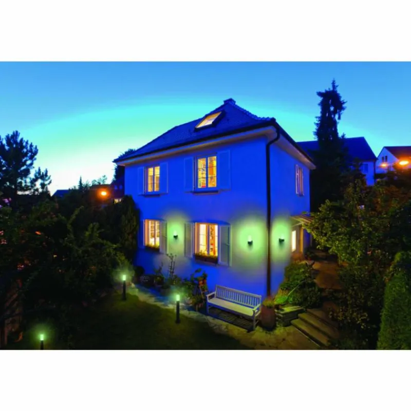 Luminaires Ledvance Applique murale d'extérieur LEDVANCE Smart+ Gris, 1 lumière