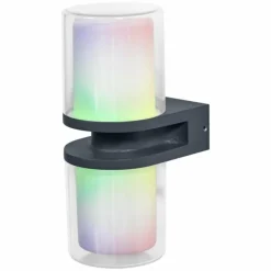 Luminaires Ledvance Applique murale d'extérieur LEDVANCE Smart+ Gris, 1 lumière