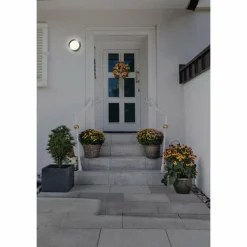 Luminaires Ledvance Applique murale d'extérieur LEDVANCE ENDURA Acier brossé, 1 lumière