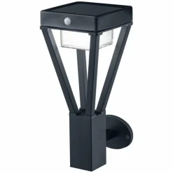 Luminaires Ledvance Applique murale d'extérieur LEDVANCE ENDURA Noir, 1 lumière, Détecteur de mouvement