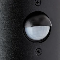 Luminaires Brilliant Applique murale d'extérieur Brilliant Sergioro Anthracite, 1 lumière, Détecteur de mouvement