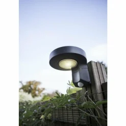 Luminaires Lutec Applique murale d'extérieur Lutec DISO LED Anthracite, 1 lumière, Détecteur de mouvement