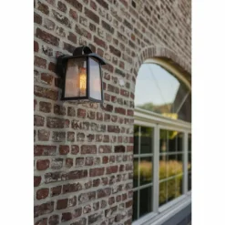 Luminaires Lutec Applique murale d'extérieur Lutec KELSEY Noir, 1 lumière