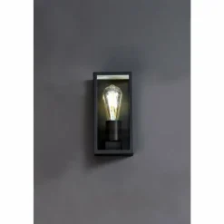Luminaires Lutec Applique murale d'extérieur Lutec KARO Noir, 1 lumière