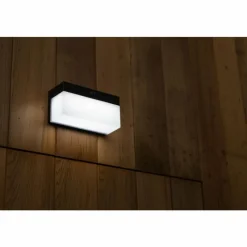 Luminaires Lutec Applique murale d'extérieur Lutec FRAN LED Noir, 1 lumière, Détecteur de mouvement