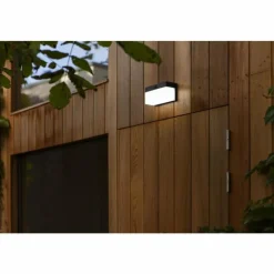 Luminaires Lutec Applique murale d'extérieur Lutec FRAN LED Noir, 1 lumière, Détecteur de mouvement