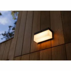 Luminaires Lutec Applique murale d'extérieur Lutec FRAN LED Noir, 1 lumière, Détecteur de mouvement
