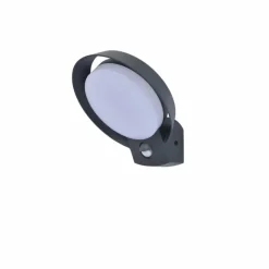 Luminaires Lutec Applique murale d'extérieur Lutec POLO LED Anthracite, 1 lumière, Détecteur de mouvement
