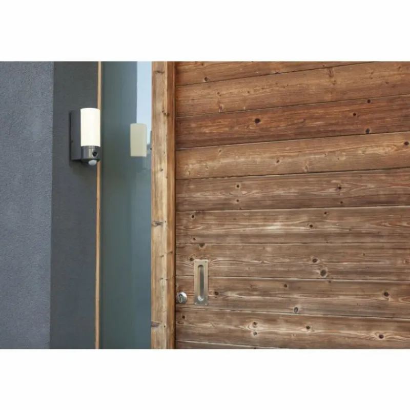 Luminaires Lutec Applique murale d'extérieur Lutec POLLUX LED Anthracite, 1 lumière, Détecteur de mouvement