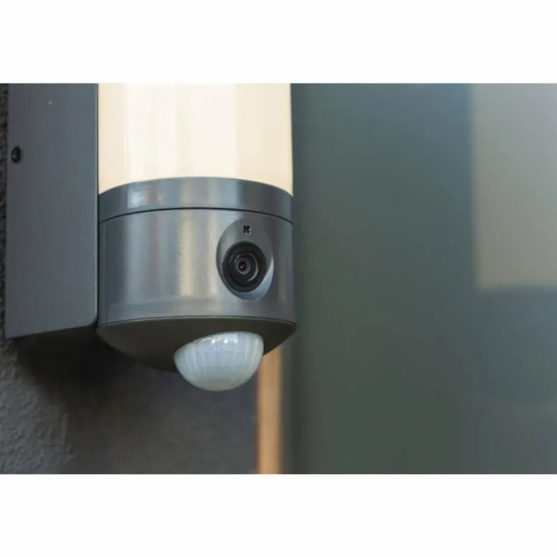 Luminaires Lutec Applique murale d'extérieur Lutec POLLUX LED Anthracite, 1 lumière, Détecteur de mouvement