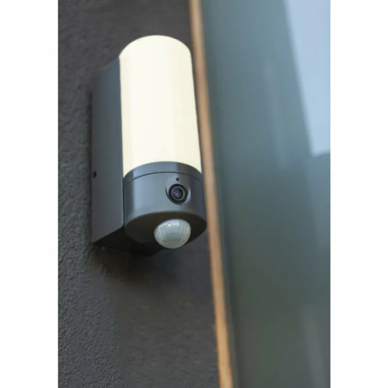 Luminaires Lutec Applique murale d'extérieur Lutec POLLUX LED Anthracite, 1 lumière, Détecteur de mouvement